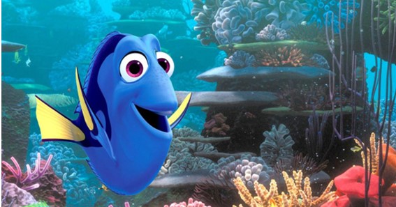 what type of fish is dory