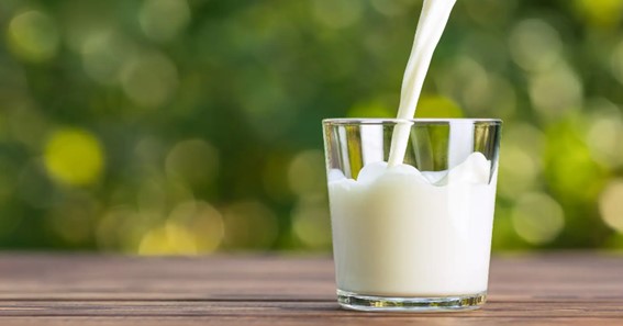 disadvantages of lactose free milk