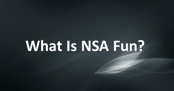 What Is NSA Fun